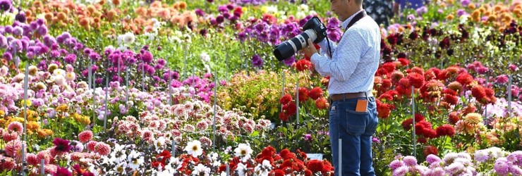 Dahlia Dagen Kasteel Keukenhof