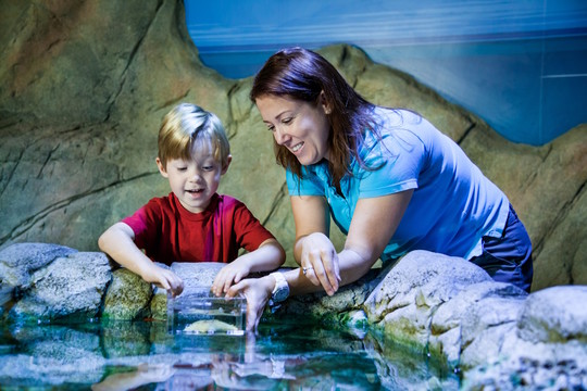 Sea Life Scheveningen